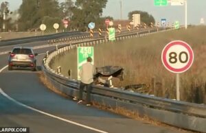 A família britânica morre em acidente frontal em Portugal depois de alugar um carro do aeroporto Quatro membros de uma família britânica morreram em uma resistência em Portugal poucas horas depois de contratar um carro no aeroporto de Faro. Imagem: a cena do acidente