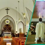 A homossexual pesada tropeçando na Igreja Católica, o altar do garoto toma bomba, revela o ano do pai reverenciado