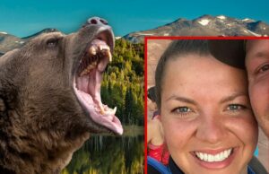 A mãe do Alasca fez e arrastou 100 gramados por urso acastanhado Ariean-Fabrizio-Colton-Getty-Gofund-Me-1