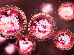 Mais dois casos de doença altamente infecciosa confirmados em Sydney Estrutura de Morbillivirus de sarampo - imagem 3D retornada. Antecedentes abstratos.