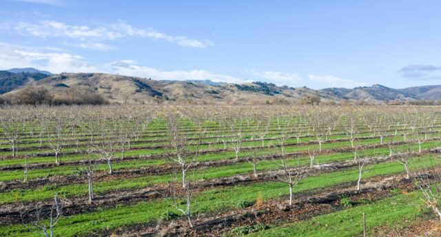A natureza é o maior patrimônio da área da baía. A natureza é o maior patrimônio da área da baía.