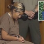 A opinião pública envia a inundação de uma doação a um prisioneiro que derrotou uma mulher acusada de torturar uma natureza, com 8 anos, até a morte: "Eu faria de novo"