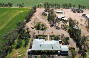 A propriedade Northern Wheatbelt é confiável para oferecer oportunidades de cultivo misto A propriedade Northern Wheatbelt é confiável para oferecer oportunidades de cultivo misto