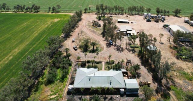 A propriedade Northern Wheatbelt é confiável para oferecer oportunidades de cultivo misto

