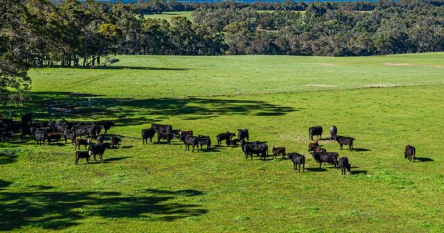 A propriedade está lindamente na área costeira do sul de WA

