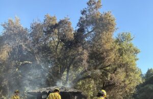 Acusações de incêndio criminoso apresentadas contra o homem preso em relação aos incêndios de Corralitos Acusações de incêndio criminoso apresentadas contra o homem preso em relação aos incêndios de Corralitos