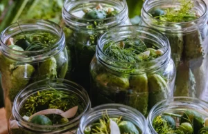 Adicione à água e mergulhe nesses pepinos. Depois do ponto, ele manterá dureza e crocante Adicione à água e mergulhe nesses pepinos. Depois do ponto, ele manterá dureza e crocante