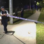 Adolescente pego em uma função de Spree no parque da cidade