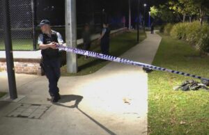 Adolescente pego em uma função de Spree no parque da cidade Adolescente pego em uma função de Spree no parque da cidade