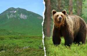 Amigo de Hiker em looks de horror Amigo de Hiker em looks de horror