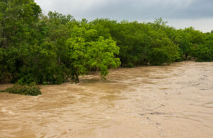 As águas da enchente do rio encharcam terras agrícolas “significativas” As águas da enchente do rio encharcam terras agrícolas "significativas"