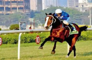 Bolsa de dinheiro para o troféu FD Wadia (GR3) Bolsa de dinheiro para o troféu FD Wadia (GR3)