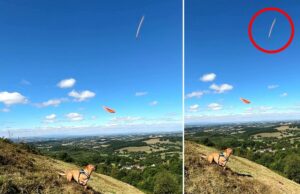 Britânicos brincando em um cachorro com um cachorro registra acidentalmente um possível ampliação de OVNIs por ar: vídeo Foto de um cachorro tocando em Frisbee com um objeto não identificado em rápido movimento no céu.