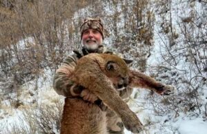 Buffalo, que matou Big Game Hunter quando a perseguiu a morte, uma fração de segundo depois de empalar o milionário dos EUA em seus chifres O comerciante milionário do Ranch, Asher Watkins, foi lançado no Safari com um caçador profissional e um rastreador de animais no caminho de uma cópia estimada em 1,3 tonelada no domingo passado
