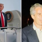 Casa Branca, seção do parque South Trump e referência Epstein, Perez Hilton Reactions Reactions