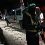 Um caça do Hamas fica de guarda como um transporte de veículos da Cruz Vermelha lançado recentemente como refém em Rafah, no Southern Gazare Strip em 28 de novembro de 2023