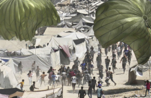 Cerca de 320 caminhões, tanques de combustível para o gás Cerca de 320 caminhões, tanques de combustível para o gás