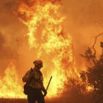 Foto: Um bombeiro lutou contra o crescimento do desfiladeiro, que eclodiu na quinta -feira à tarde e já explodiu para 1.500 acres