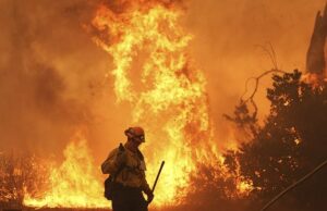 Chamas espalhadas com “velocidade preocupante” ao norte de Los Angeles, quando o Canyon Fire reforça as evacuações no sul da Califórnia Foto: Um bombeiro lutou contra o crescimento do desfiladeiro, que eclodiu na quinta -feira à tarde e já explodiu para 1.500 acres