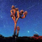 Chuveiro de meteoros Perseid: como e quando assistir