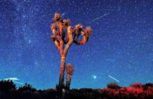 Chuveiro de meteoros Perseid: como e quando assistir Chuveiro de meteoros Perseid: como e quando assistir