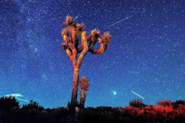 Chuveiro de meteoros Perseid: como e quando assistir

