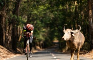 Como Ironman e Hyrox redefinem a cultura de fitness na Índia Lightbox-Info