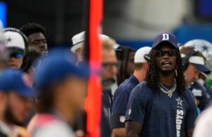 Cordeiro, na rua lixo, carregado por referência, depois marcado Cordeiro, na rua lixo, carregado por referência, depois marcado