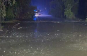 Corpo em busca de uma mulher desaparecida em NSW Fabilla Mulher falhou na área de Hunter Water NSW