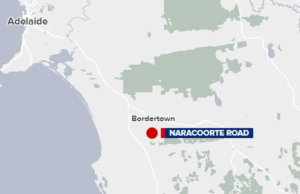 Criança-sete e menos vidas em um carro depois que os motoristas mortos no outono Criança-sete e menos vidas em um carro depois que os motoristas mortos no outono