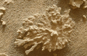 Curiosidade da NASA NASA Devt Cartian Road Curiosidade da NASA NASA Devt Cartian Road