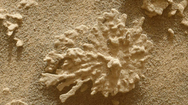 Curiosidade da NASA NASA Devt Cartian Road

