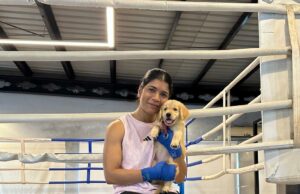 Da dor de Paris novamente ao anel: Nihat Zarin ainda não foi feito Lightbox-Info