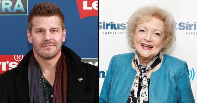 David Boreanaz abre sobre possíveis ossos revival 929