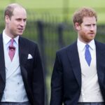 Galeria Harry e William