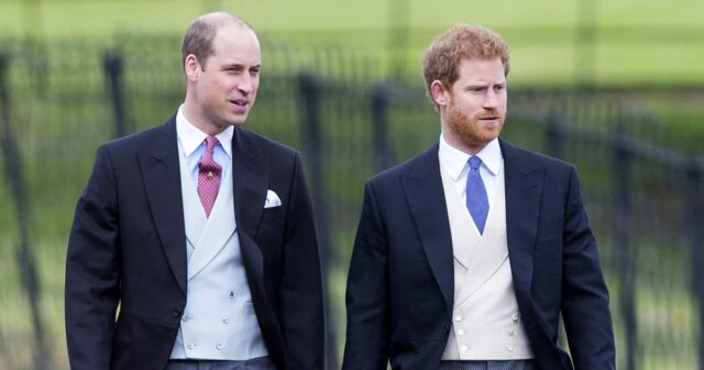 Galeria Harry e William