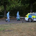 O ataque horrível aconteceu no início da manhã de sábado em Chadwell Heath Lane (na foto no sábado) na área de Chadwell Heath, no leste de Londres