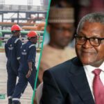 Descubra mais do que Dangote Group anuncia 60 vagas de emprego, os detentores de SSCE podem se aplicar