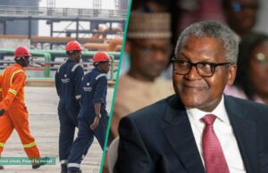 Descubra mais do que Dangote Group anuncia 60 vagas de emprego, os detentores de SSCE podem se aplicar Descubra mais do que Dangote Group anuncia 60 vagas de emprego, os detentores de SSCE podem se aplicar
