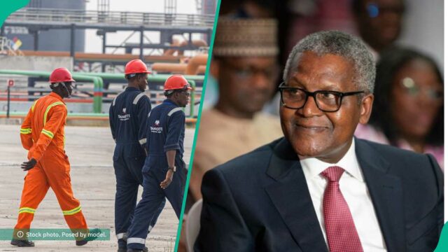 Descubra mais do que Dangote Group anuncia 60 vagas de emprego, os detentores de SSCE podem se aplicar

