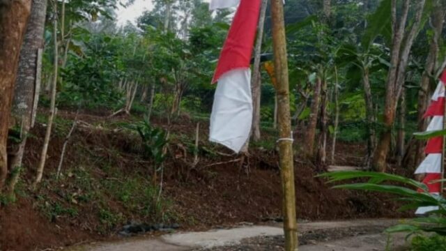 Dezenas pontilhadas de bandeiras e bandeiras vermelhas e brancas no pacitano sofreram danos, esta é a explicação do chefe de polícia

