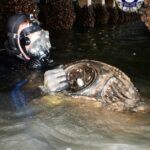 Dois noruegueses trancados em mergulhar na costa de NSW