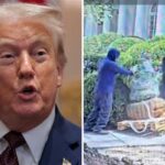 Donald Trump fumaça no emprego de Rose Yard, grita: 'Isso fez isso?'