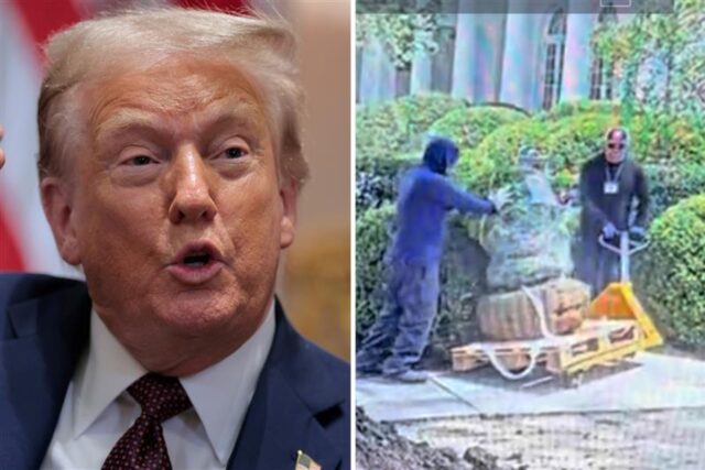 Donald Trump fumaça no emprego de Rose Yard, grita: 'Isso fez isso?' 

