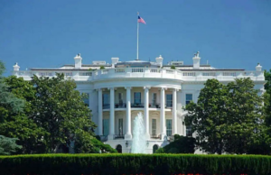 Donald Trump para planejar a Unile para criar um EUA e o mais bonito Donald Trump para planejar a Unile para criar um EUA e o mais bonito