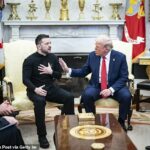 Em uma briga surpreendente em fevereiro, o vice-presidente dos EUA, JD Vance, acusou Zelensky de não ser grato o suficiente pelo apoio americano diante da invasão da Rússia.