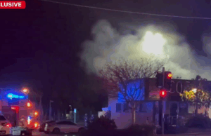 Empresas devastadas após suspeita de bombardeio em Brisbane Brisbane FireBombing