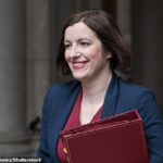 Os dados oficiais do DFE mostram que apenas 11,7 % dos alunos brancos estão participando do terço mais alto das universidades até os 19 anos. Isso ocorre depois que a secretária de educação Bridget Phillipson (foto) prometeu fazer com que os alunos da classe trabalhadora branca sejam uma prioridade
