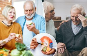 Esse tempero saboroso pode aumentar a memória, combater a ansiedade e até ajudar na prevenção da demência Esse tempero saboroso pode aumentar a memória, combater a ansiedade e até ajudar na prevenção da demência