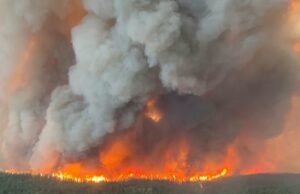 Esta é a segunda pior temporada de incêndio natural e o novo pode ser normal Uma imagem do ar mostra um incêndio florestal e uma fumaça espessa subindo no ar.